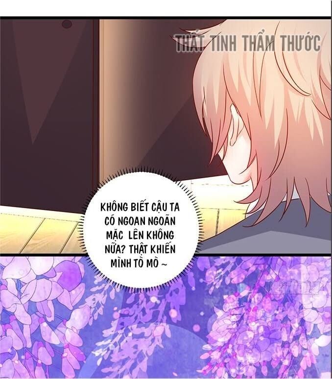 Hắc Đạo Đáng Yêu Chapter 33 - 52