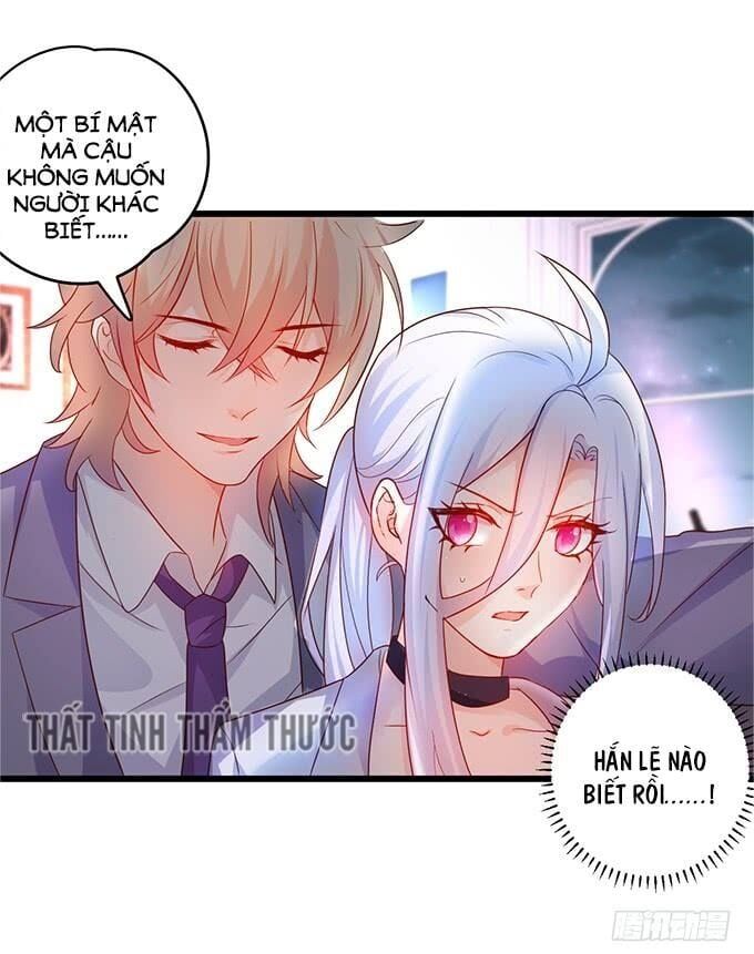 Hắc Đạo Đáng Yêu Chapter 33 - 58