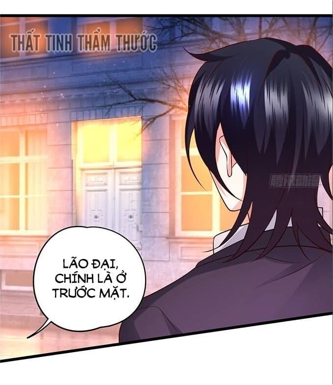 Hắc Đạo Đáng Yêu Chapter 33 - 8