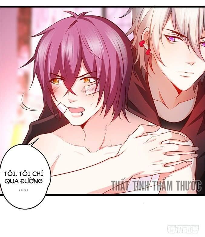 Hắc Đạo Đáng Yêu Chapter 34 - 17