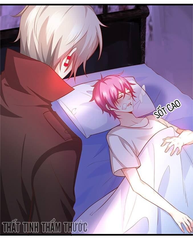 Hắc Đạo Đáng Yêu Chapter 34 - 29