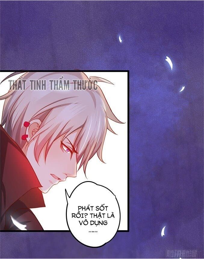 Hắc Đạo Đáng Yêu Chapter 34 - 31