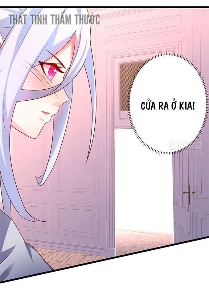 Hắc Đạo Đáng Yêu Chapter 34 - 41