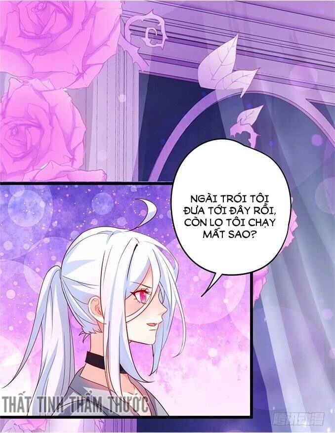 Hắc Đạo Đáng Yêu Chapter 34 - 46