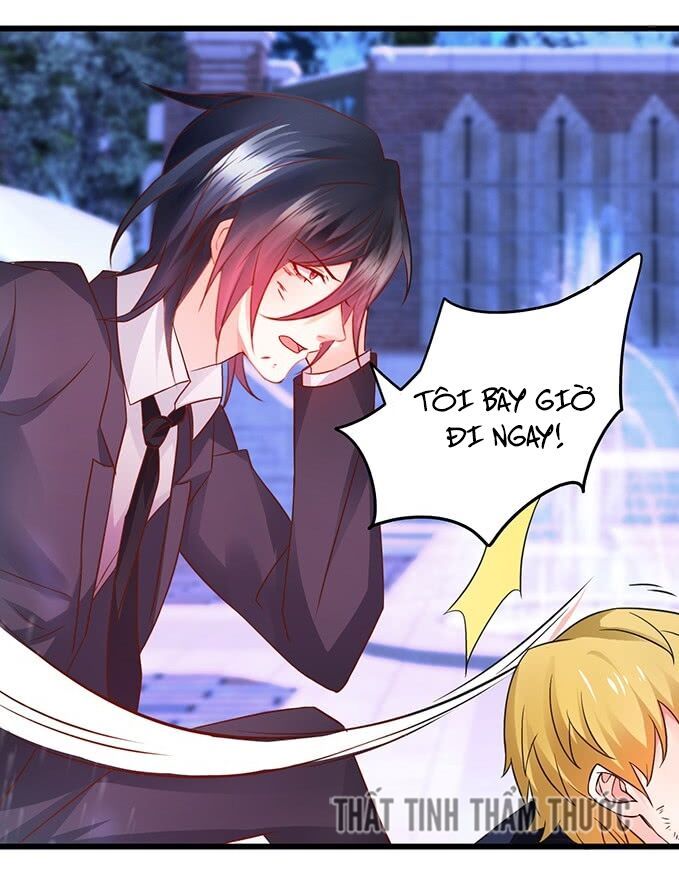 Hắc Đạo Đáng Yêu Chapter 36 - 8