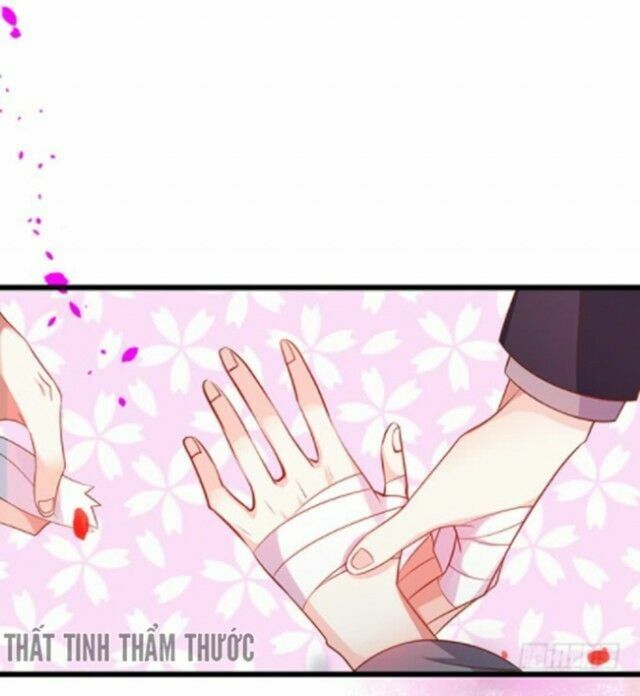 Hắc Đạo Đáng Yêu Chapter 37 - 15