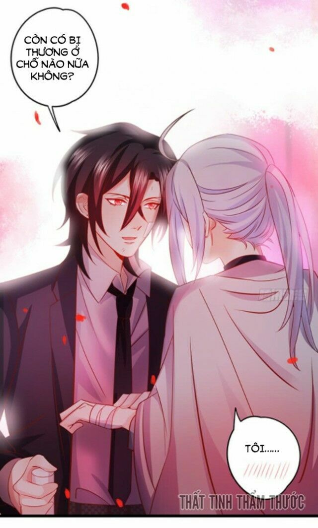 Hắc Đạo Đáng Yêu Chapter 37 - 16