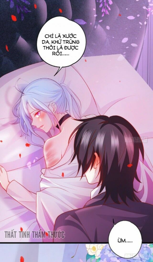 Hắc Đạo Đáng Yêu Chapter 37 - 19