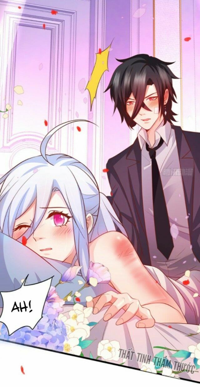 Hắc Đạo Đáng Yêu Chapter 37 - 21