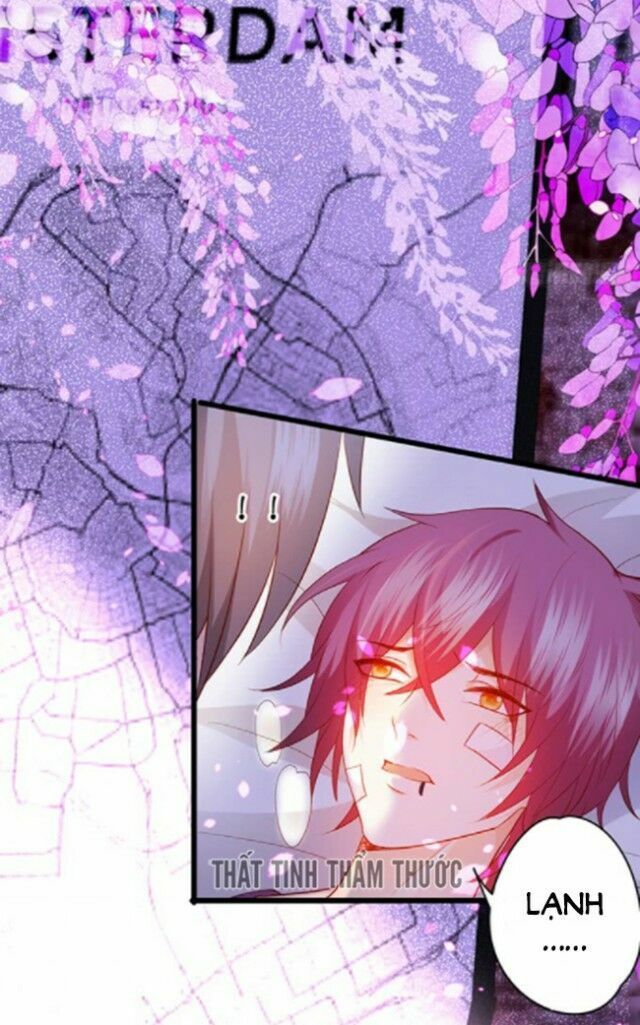 Hắc Đạo Đáng Yêu Chapter 37 - 34