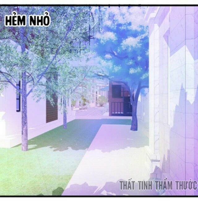 Hắc Đạo Đáng Yêu Chapter 37 - 60