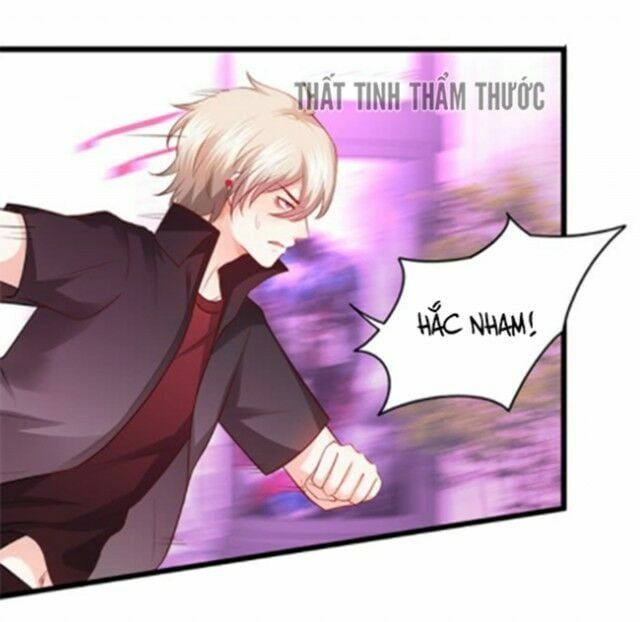 Hắc Đạo Đáng Yêu Chapter 37 - 66