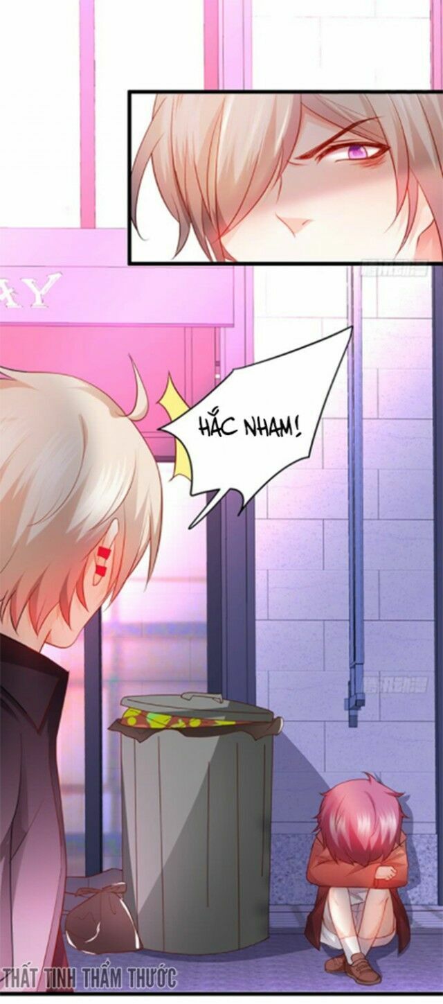 Hắc Đạo Đáng Yêu Chapter 37 - 68