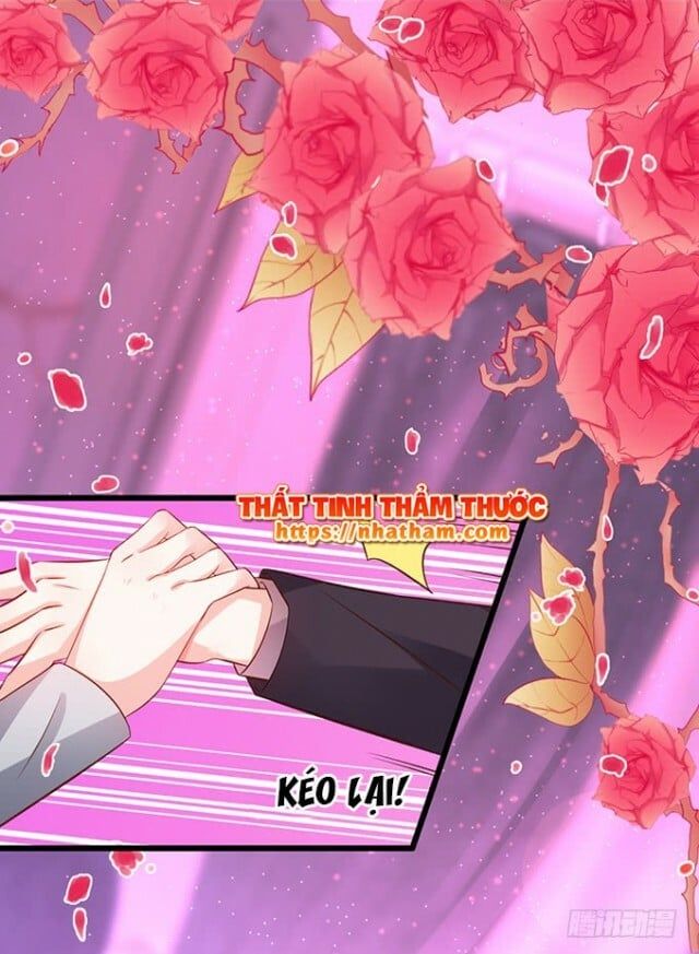 Hắc Đạo Đáng Yêu Chapter 38 - 24