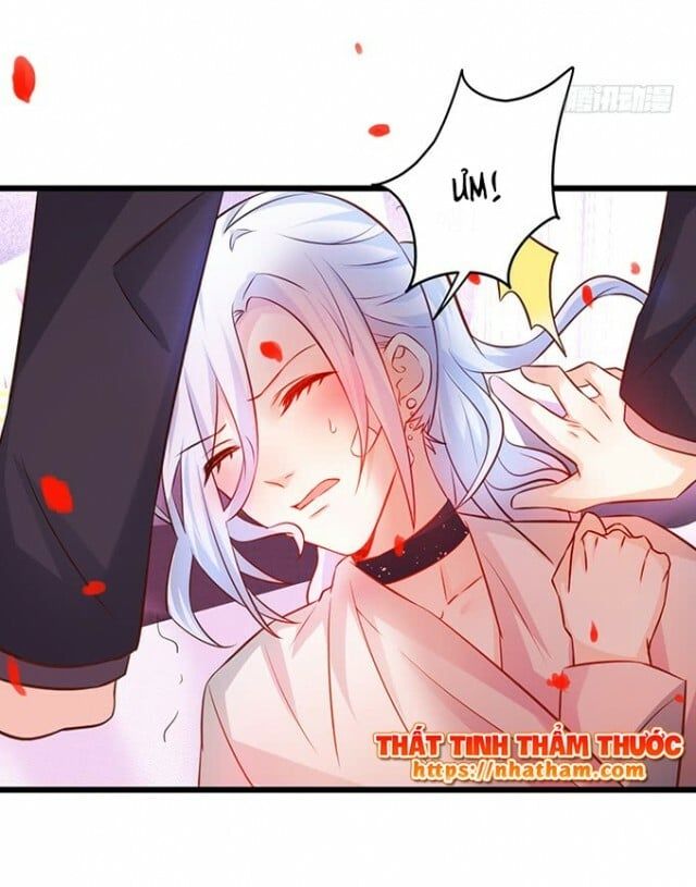 Hắc Đạo Đáng Yêu Chapter 38 - 26