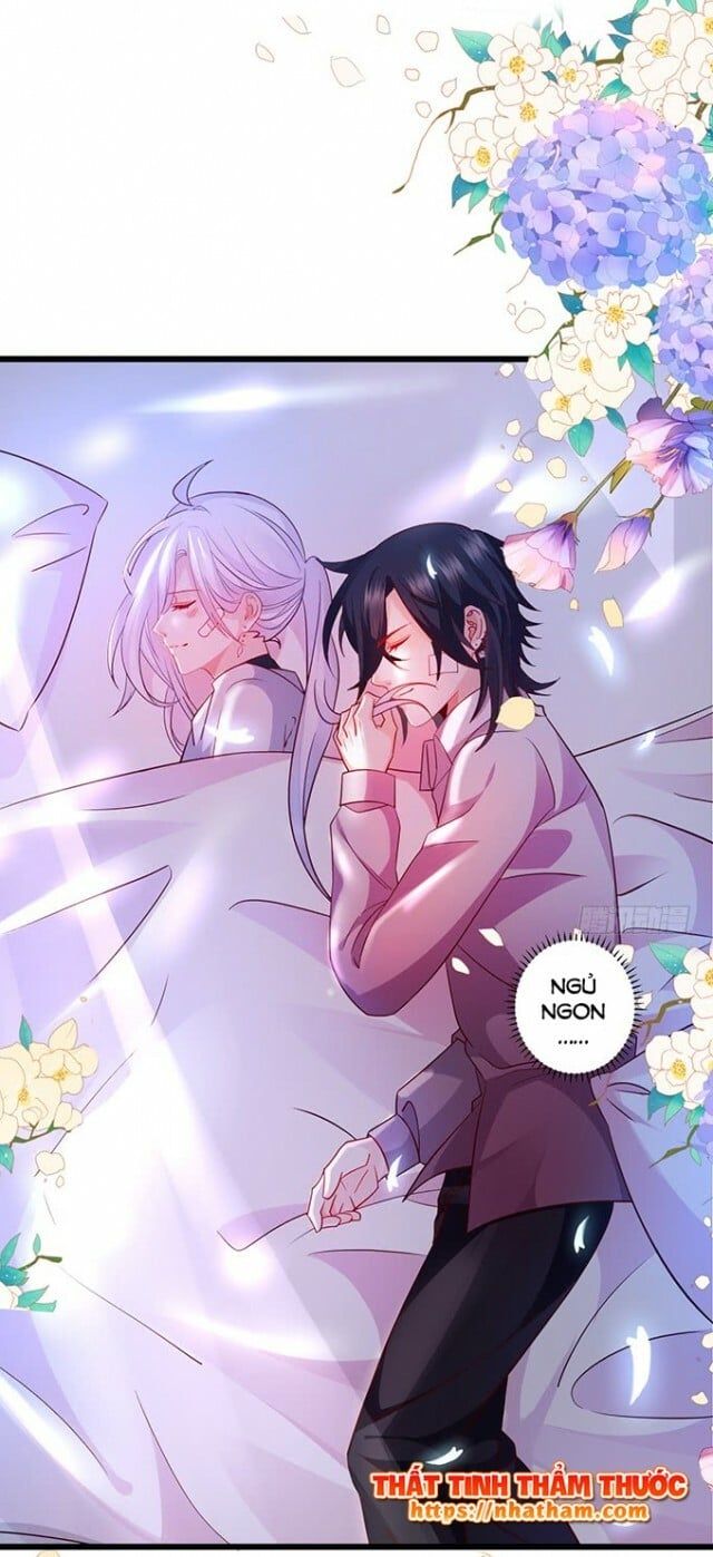Hắc Đạo Đáng Yêu Chapter 38 - 38