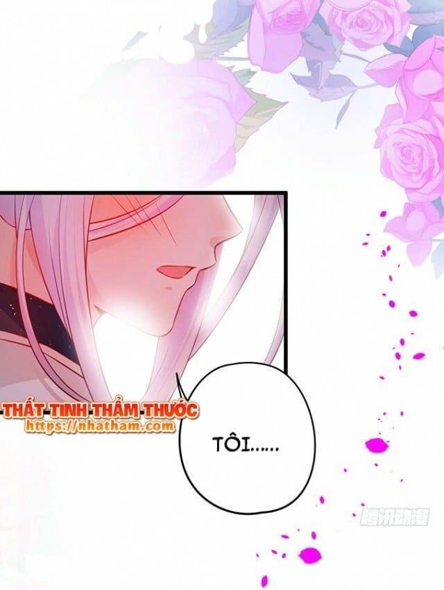 Hắc Đạo Đáng Yêu Chapter 38 - 5