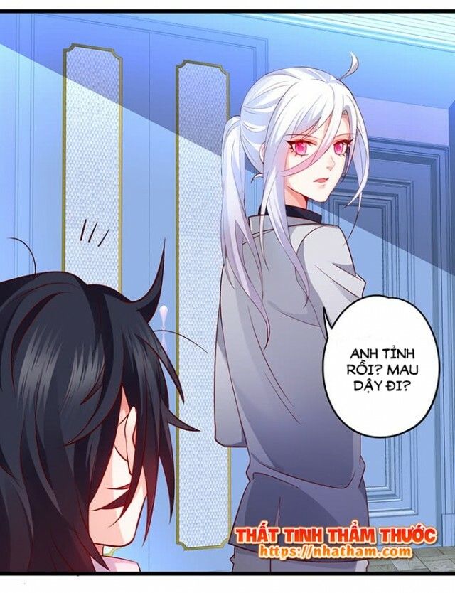 Hắc Đạo Đáng Yêu Chapter 38 - 41