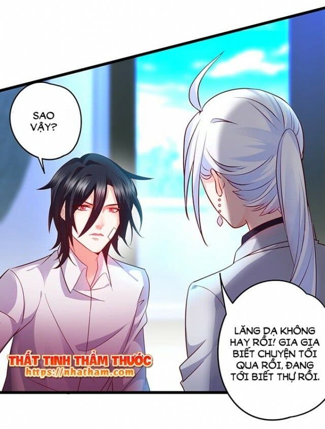 Hắc Đạo Đáng Yêu Chapter 38 - 46
