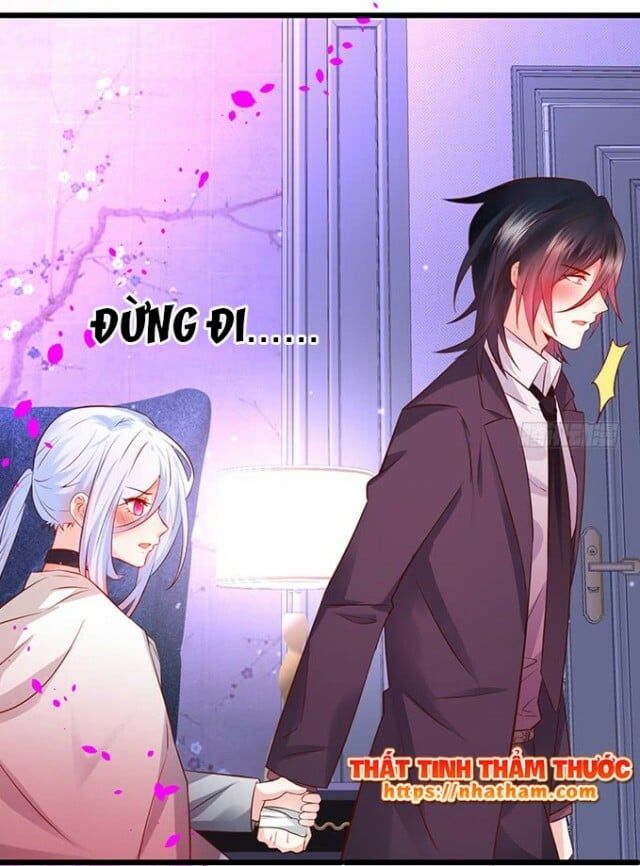 Hắc Đạo Đáng Yêu Chapter 38 - 6