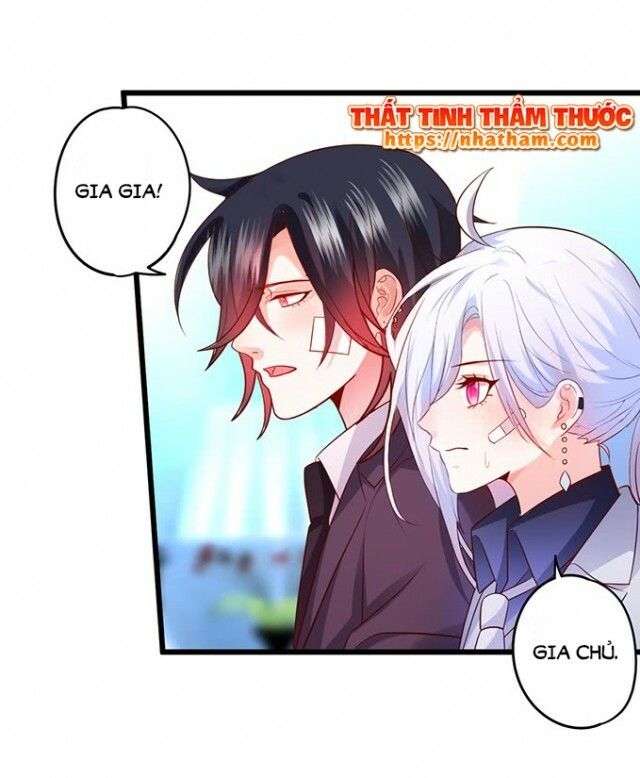 Hắc Đạo Đáng Yêu Chapter 38 - 51