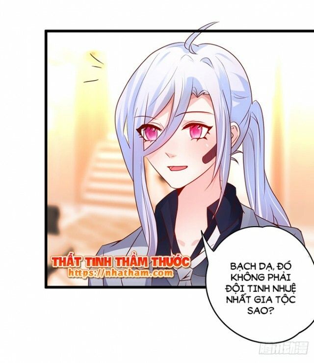 Hắc Đạo Đáng Yêu Chapter 38 - 65