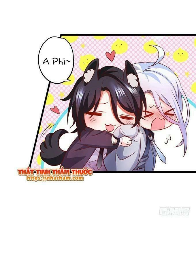 Hắc Đạo Đáng Yêu Chapter 39 - 49