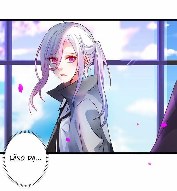 Hắc Đạo Đáng Yêu Chapter 4 - 48