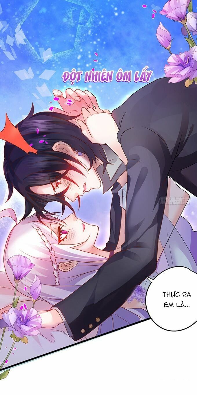Hắc Đạo Đáng Yêu Chapter 4 - 8