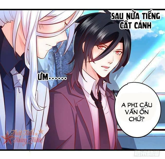 Hắc Đạo Đáng Yêu Chapter 40 - 20