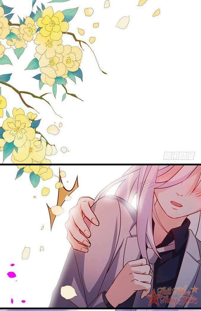 Hắc Đạo Đáng Yêu Chapter 40 - 51