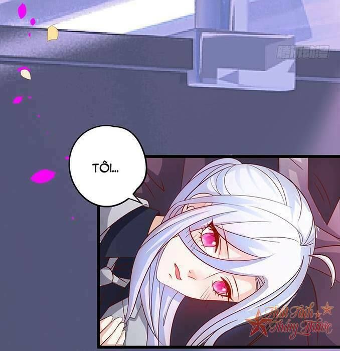 Hắc Đạo Đáng Yêu Chapter 40 - 52