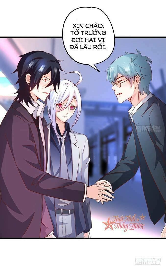 Hắc Đạo Đáng Yêu Chapter 40 - 66