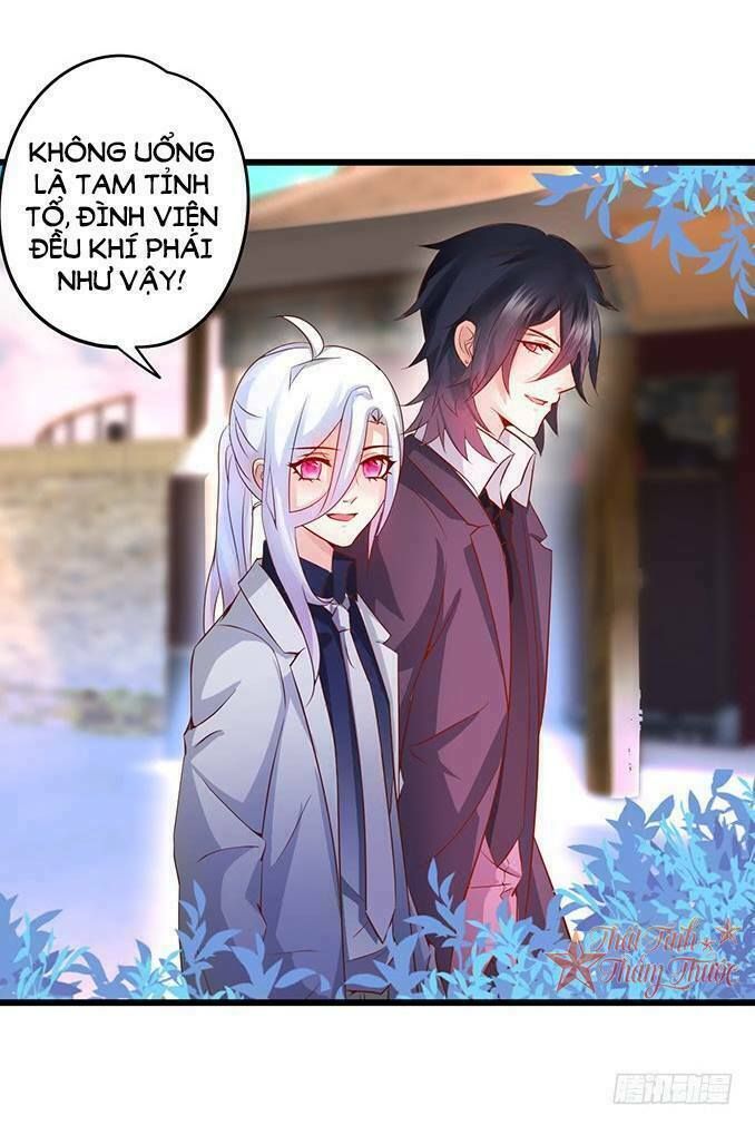 Hắc Đạo Đáng Yêu Chapter 40 - 69