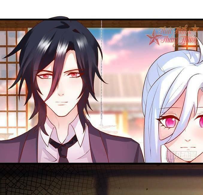 Hắc Đạo Đáng Yêu Chapter 40 - 71