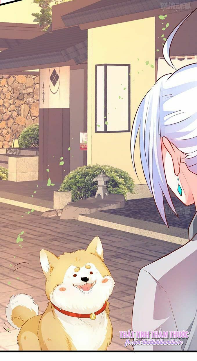 Hắc Đạo Đáng Yêu Chapter 41 - 32