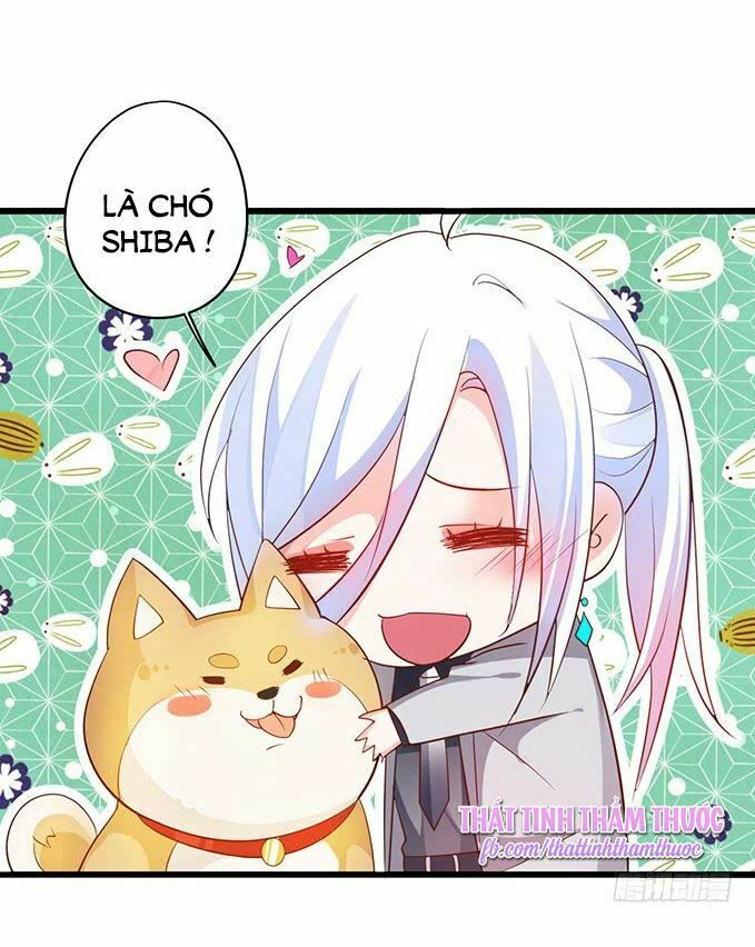 Hắc Đạo Đáng Yêu Chapter 41 - 33