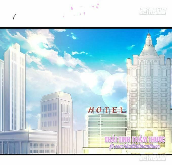 Hắc Đạo Đáng Yêu Chapter 41 - 10