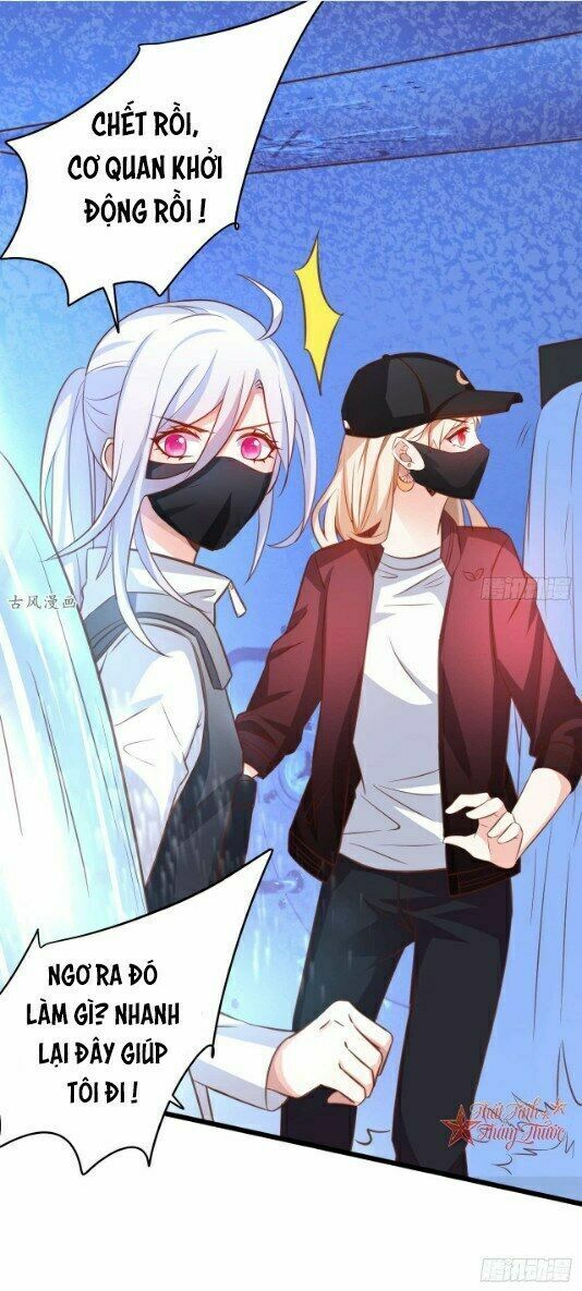 Hắc Đạo Đáng Yêu Chapter 42 - 23