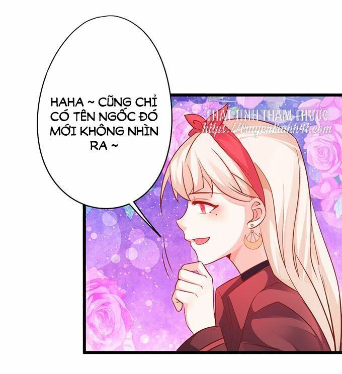 Hắc Đạo Đáng Yêu Chapter 43 - 67