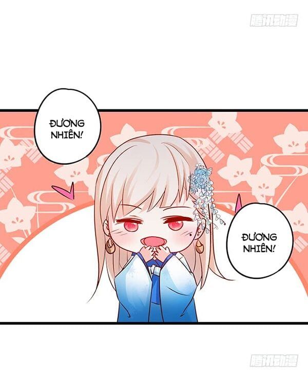 Hắc Đạo Đáng Yêu Chapter 44 - 12