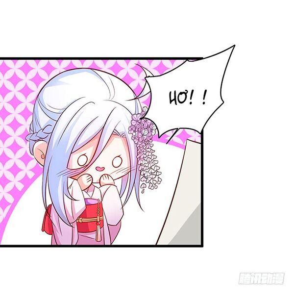 Hắc Đạo Đáng Yêu Chapter 44 - 51