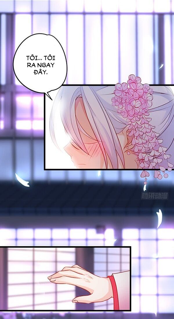 Hắc Đạo Đáng Yêu Chapter 44 - 10