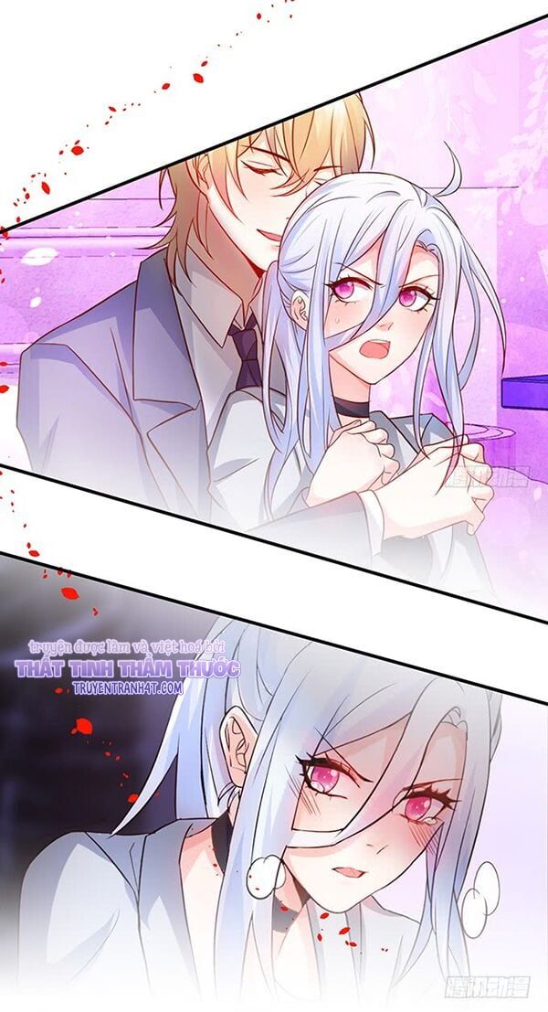Hắc Đạo Đáng Yêu Chapter 47 - 11