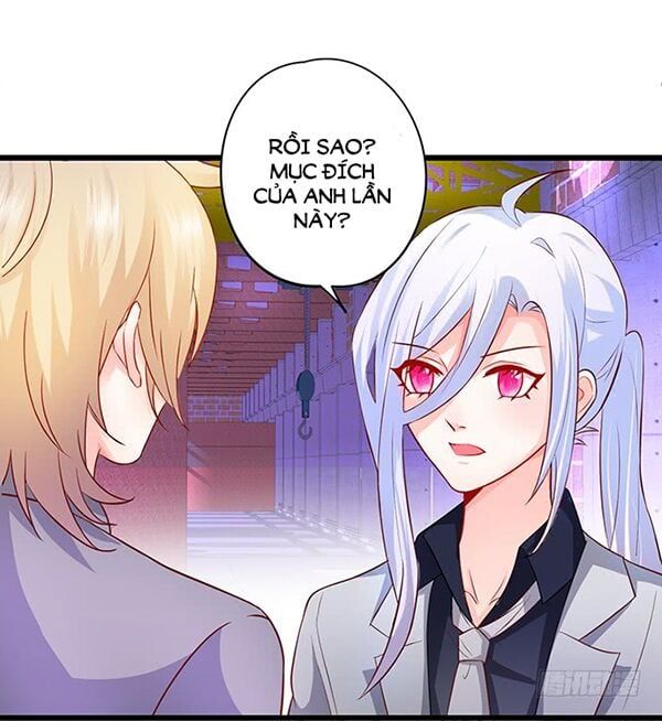 Hắc Đạo Đáng Yêu Chapter 47 - 14