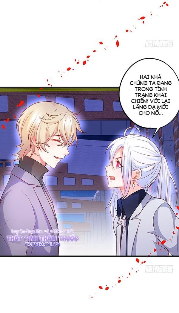 Hắc Đạo Đáng Yêu Chapter 47 - 17