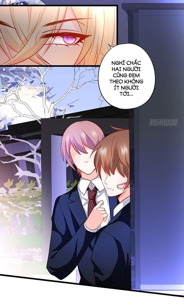 Hắc Đạo Đáng Yêu Chapter 47 - 6