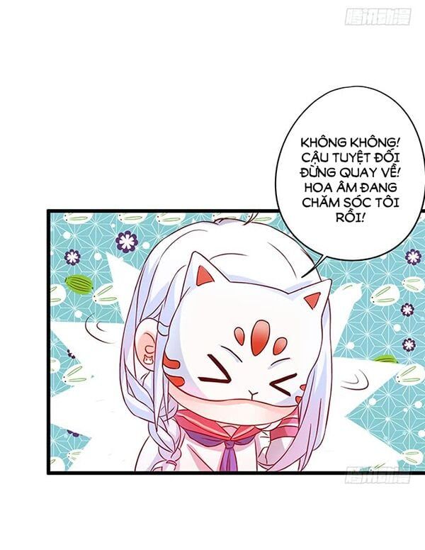 Hắc Đạo Đáng Yêu Chapter 48 - 17