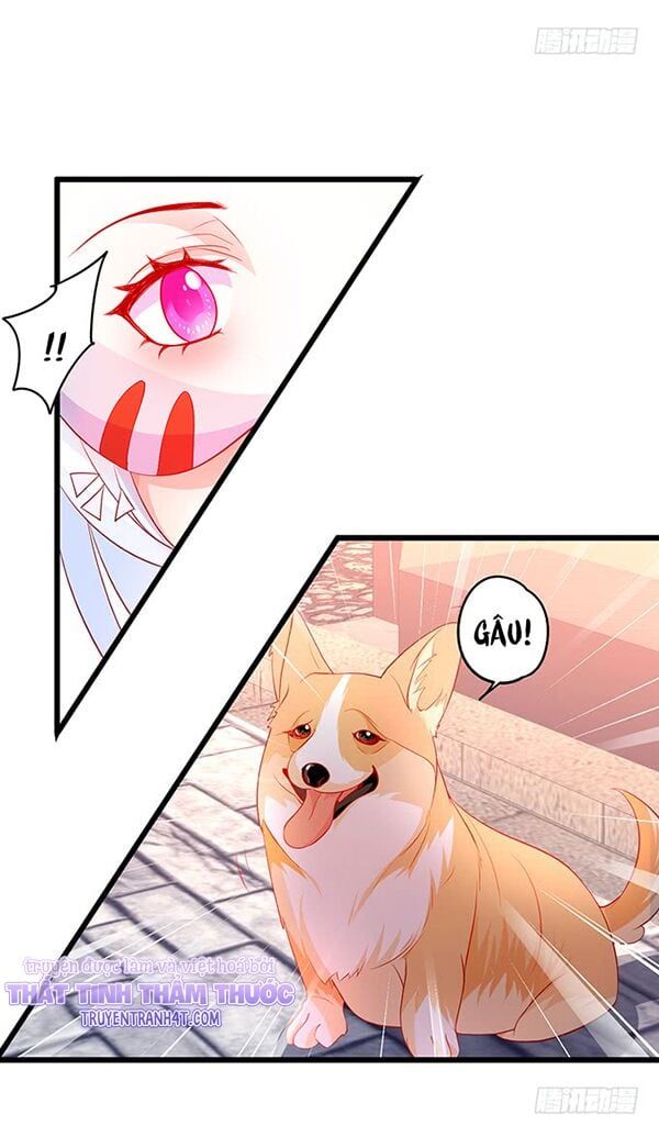 Hắc Đạo Đáng Yêu Chapter 48 - 35