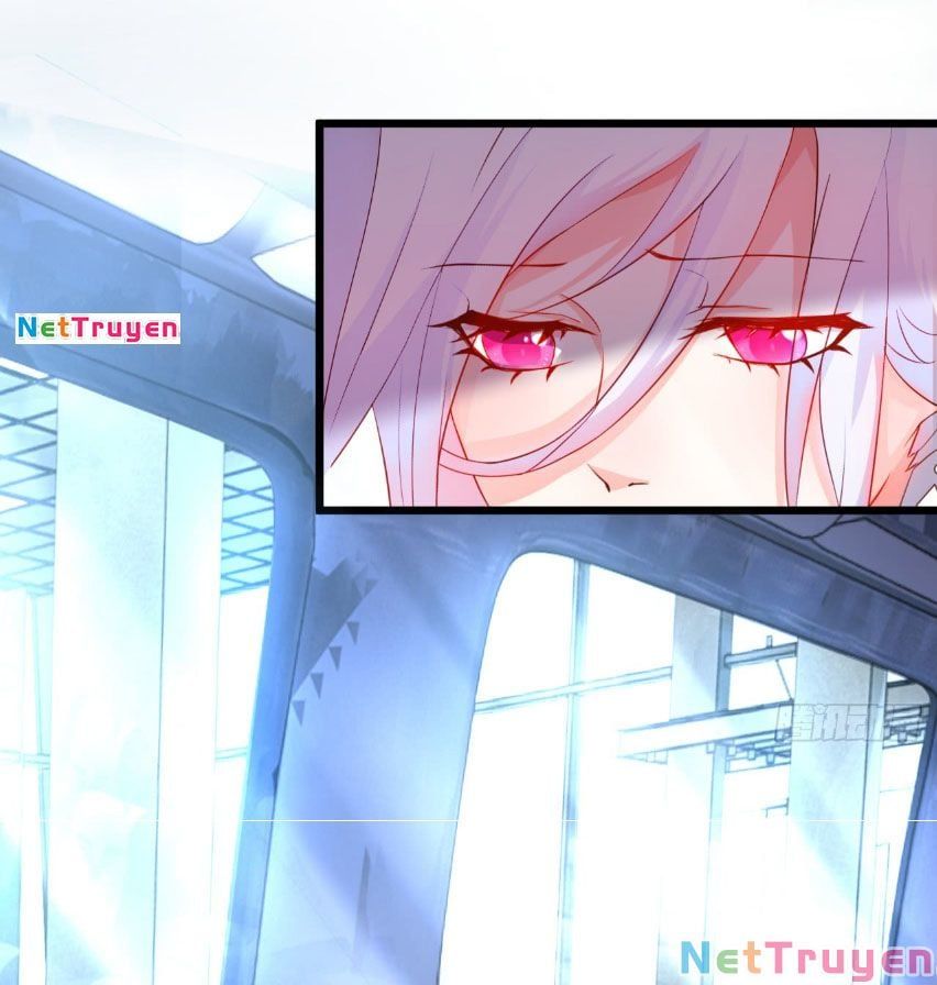 Hắc Đạo Đáng Yêu Chapter 49 - 34